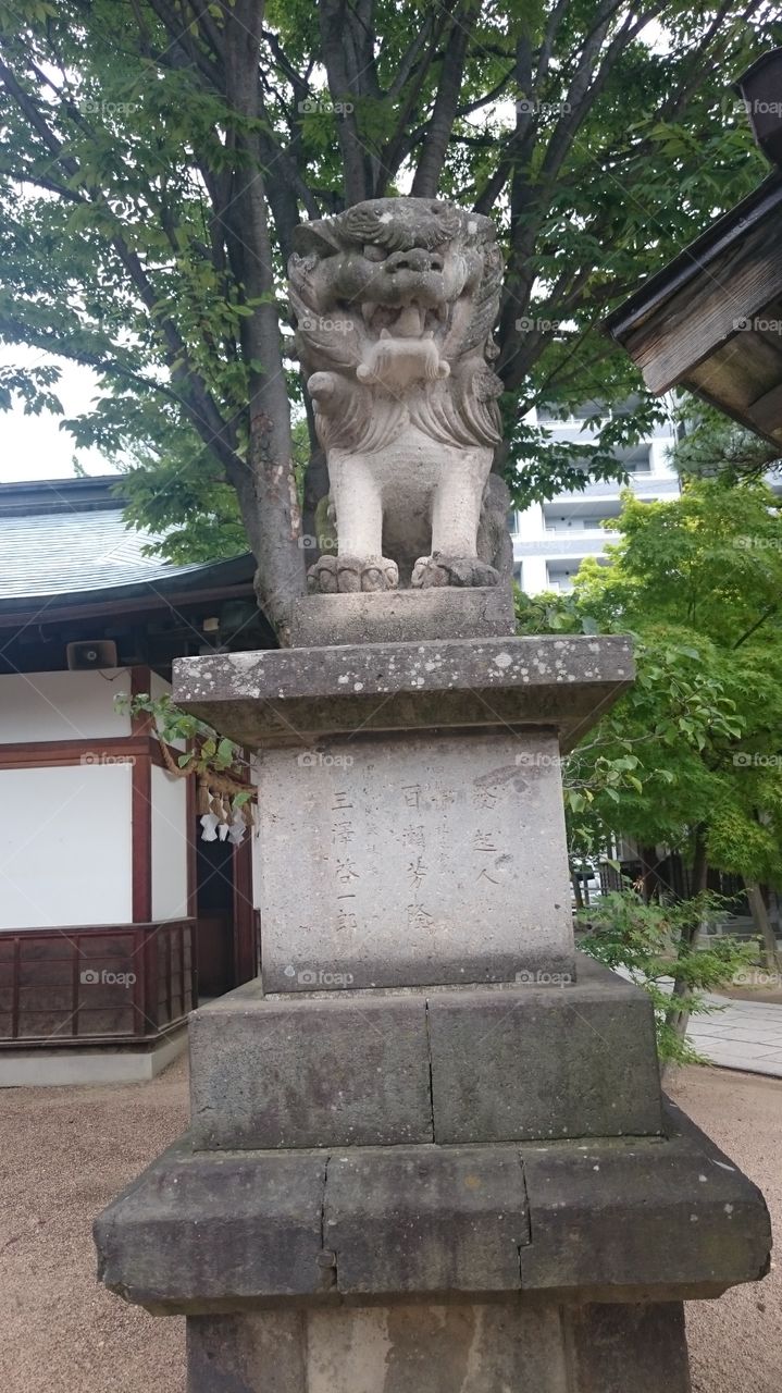 Guardian lion-dog at Shinto shrine
