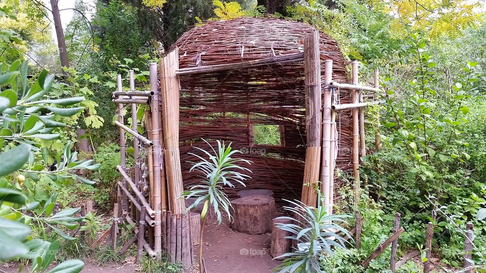 a hut in a botanic park