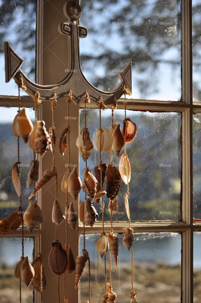 beach window river shells by tklinken