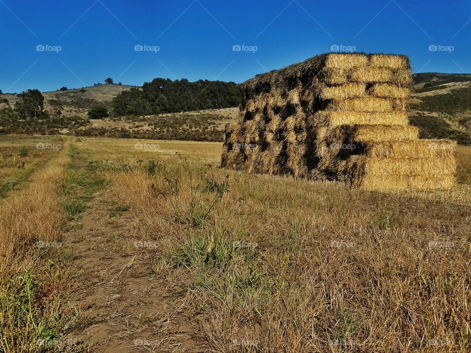 Haystack in a California field