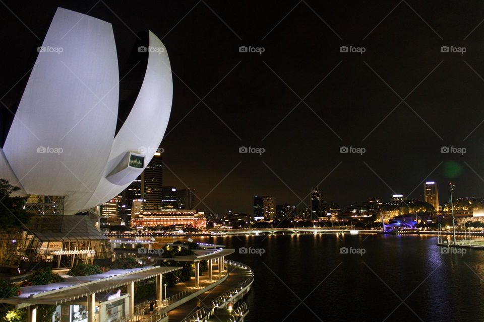 Panoramic view of Singapore’s night skyline featuring the ArtScience Museum and Marina Bay Sands.