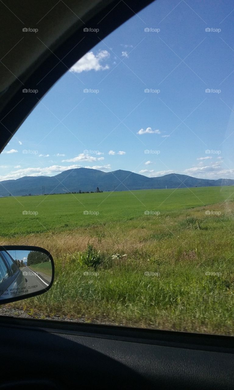 Field with mountains