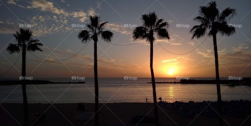 Beach, Ocean, Seashore, Sunset, Water