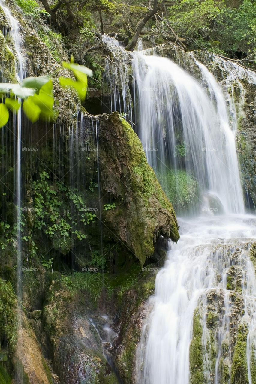 View of beautiful waterfall in forest