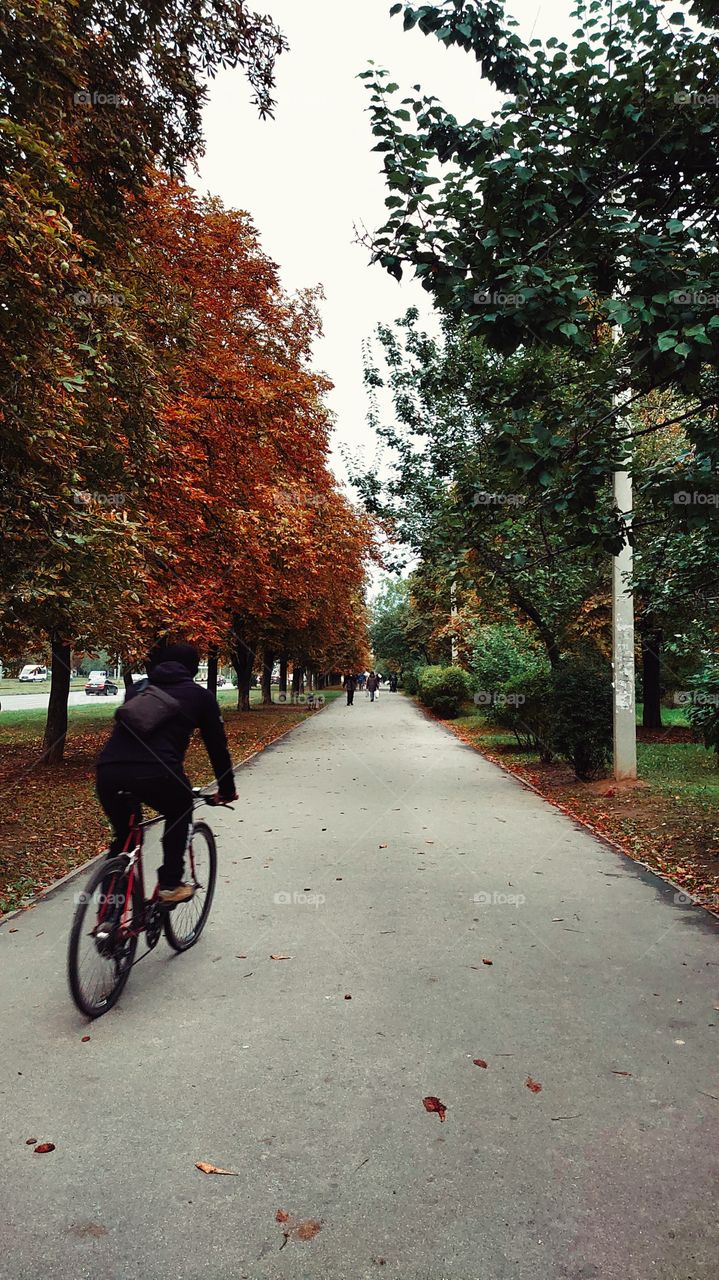 Moods of autumn. Morning Walks