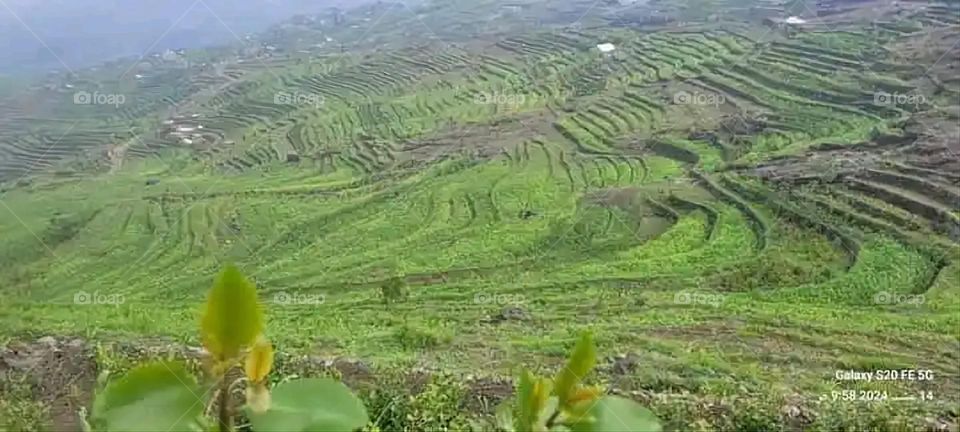 Glory be to God, the magnificent and picturesque view and the natural green trees are a view that is nothing more wonderful than it