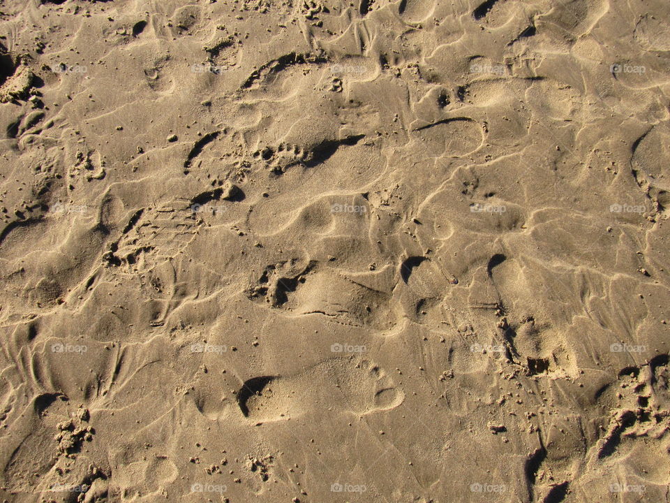 Footprints on beach