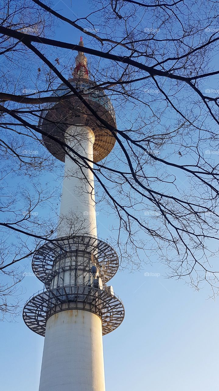N Seoul Tower during fall season