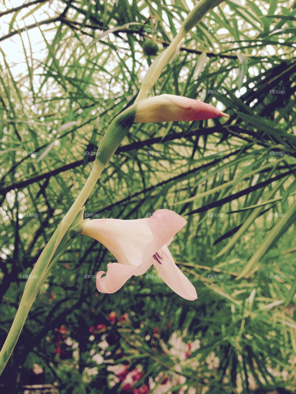 Showing 5 minutes of beauty