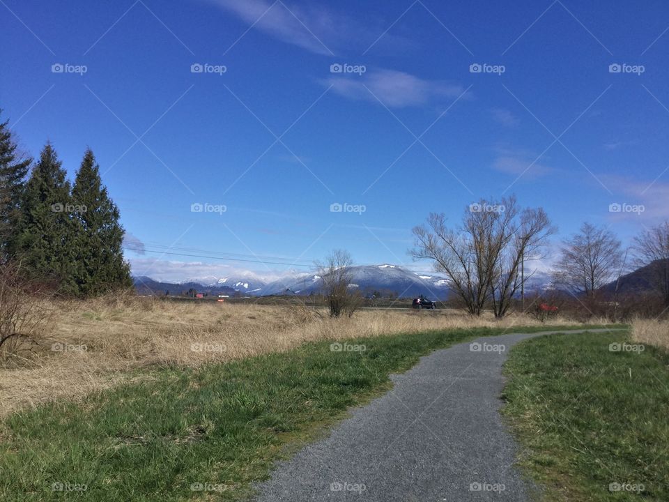 Grassland in the park 