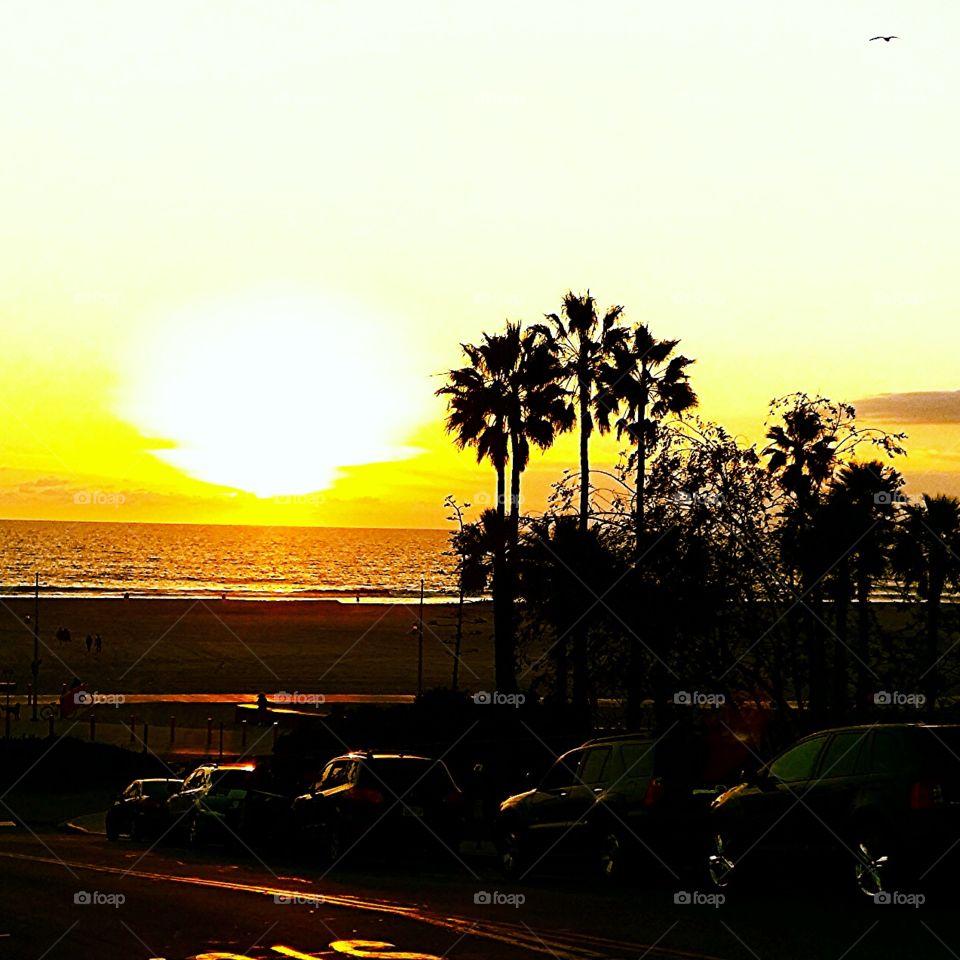 Indian summer. Afternoon sunset in Santa Monica