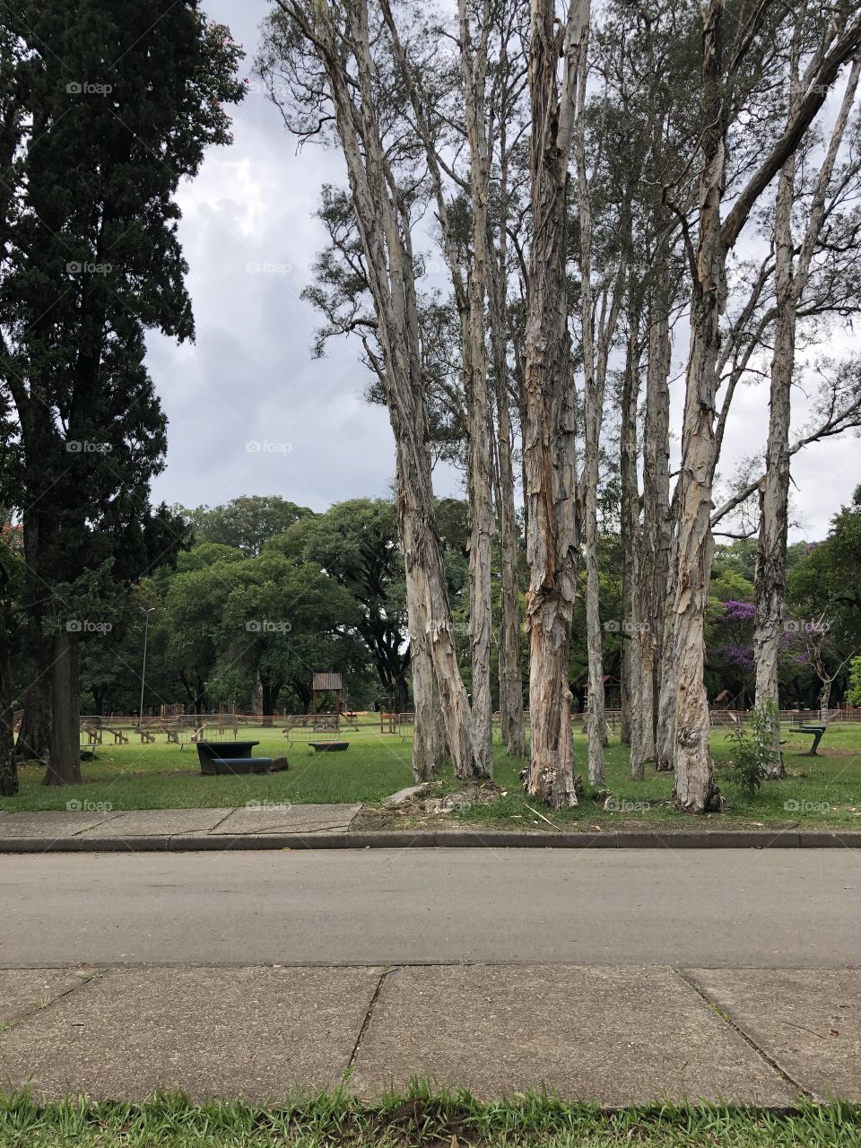 View of an empty park in quarantine