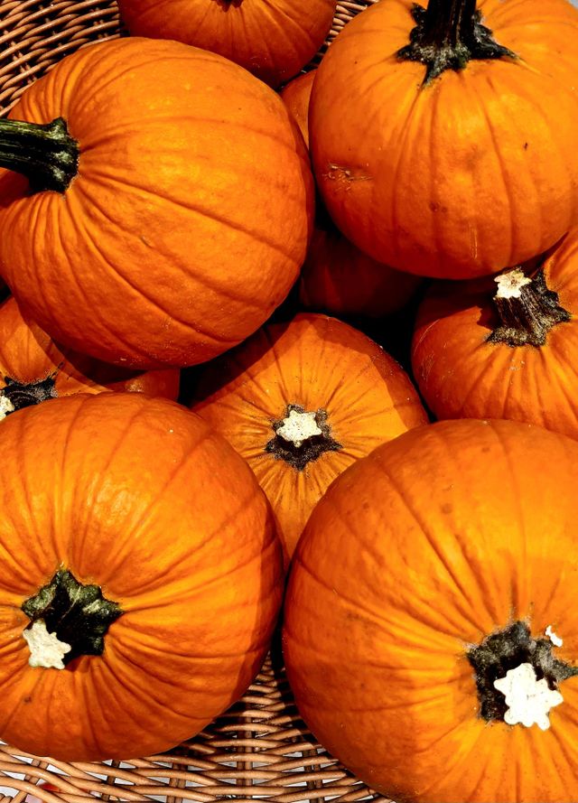 Pumpkin