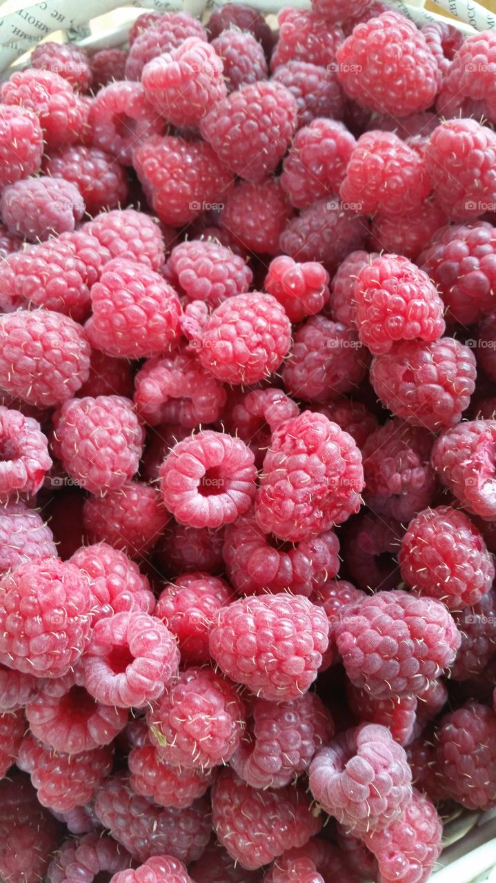 bunch of fresh juicy raspberries