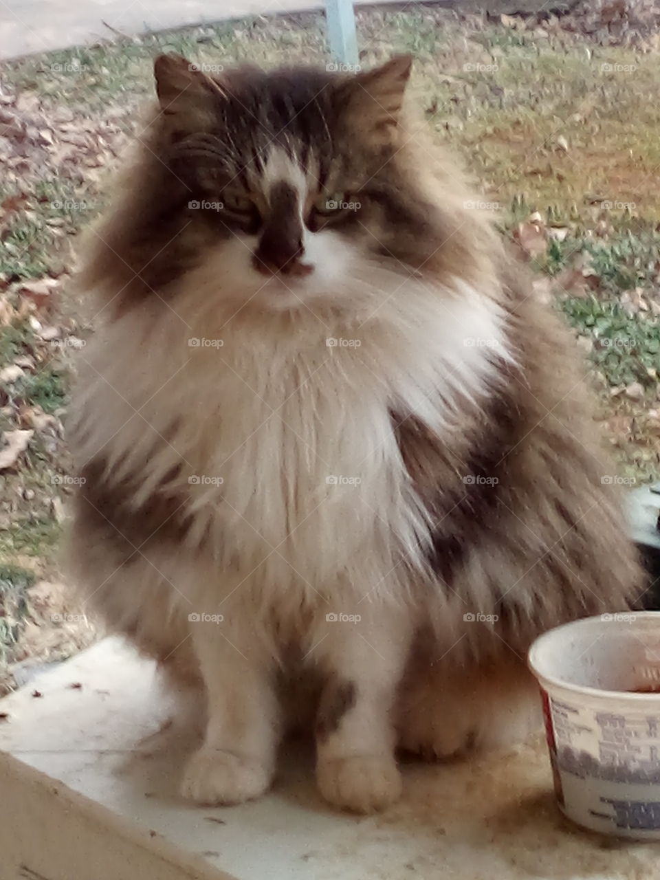 i really hate posing for these photos but that is the price you pay when you're pretty.