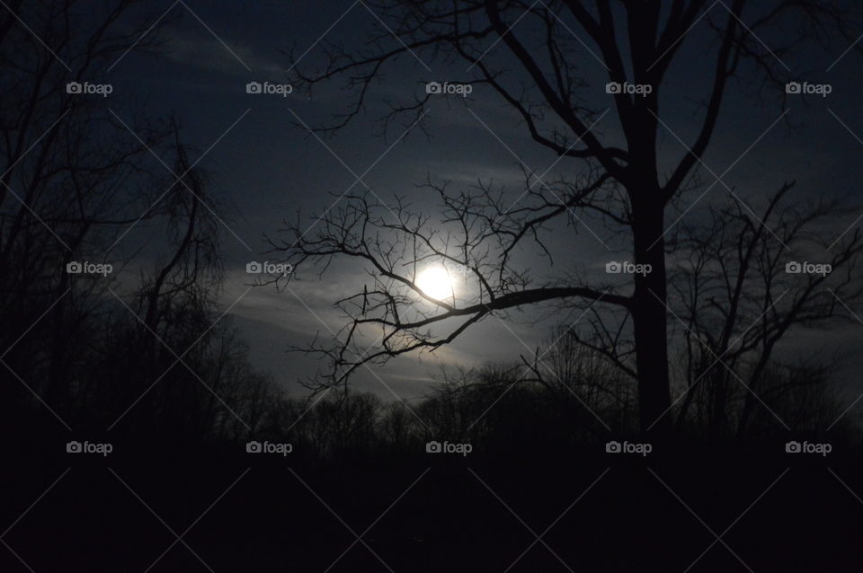 Spooky full moon