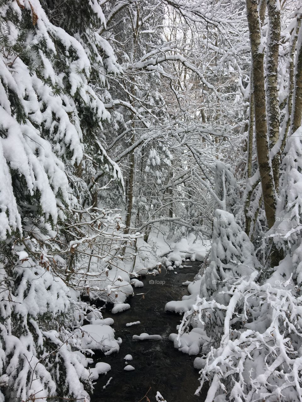 All snow as far as you can see.