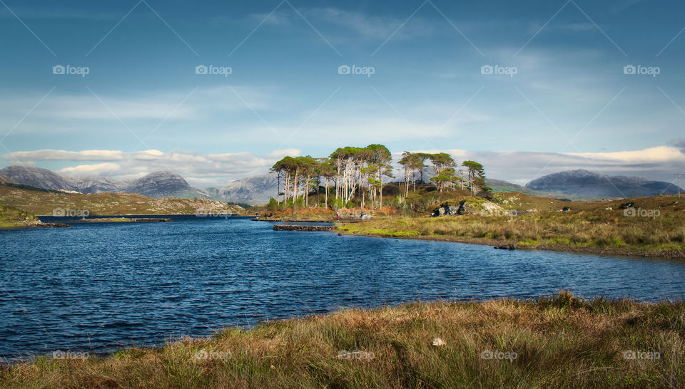 12 pines island at Connemara, Ireland