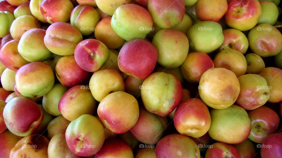 Nectarines