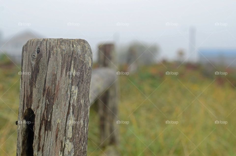 Beach fence