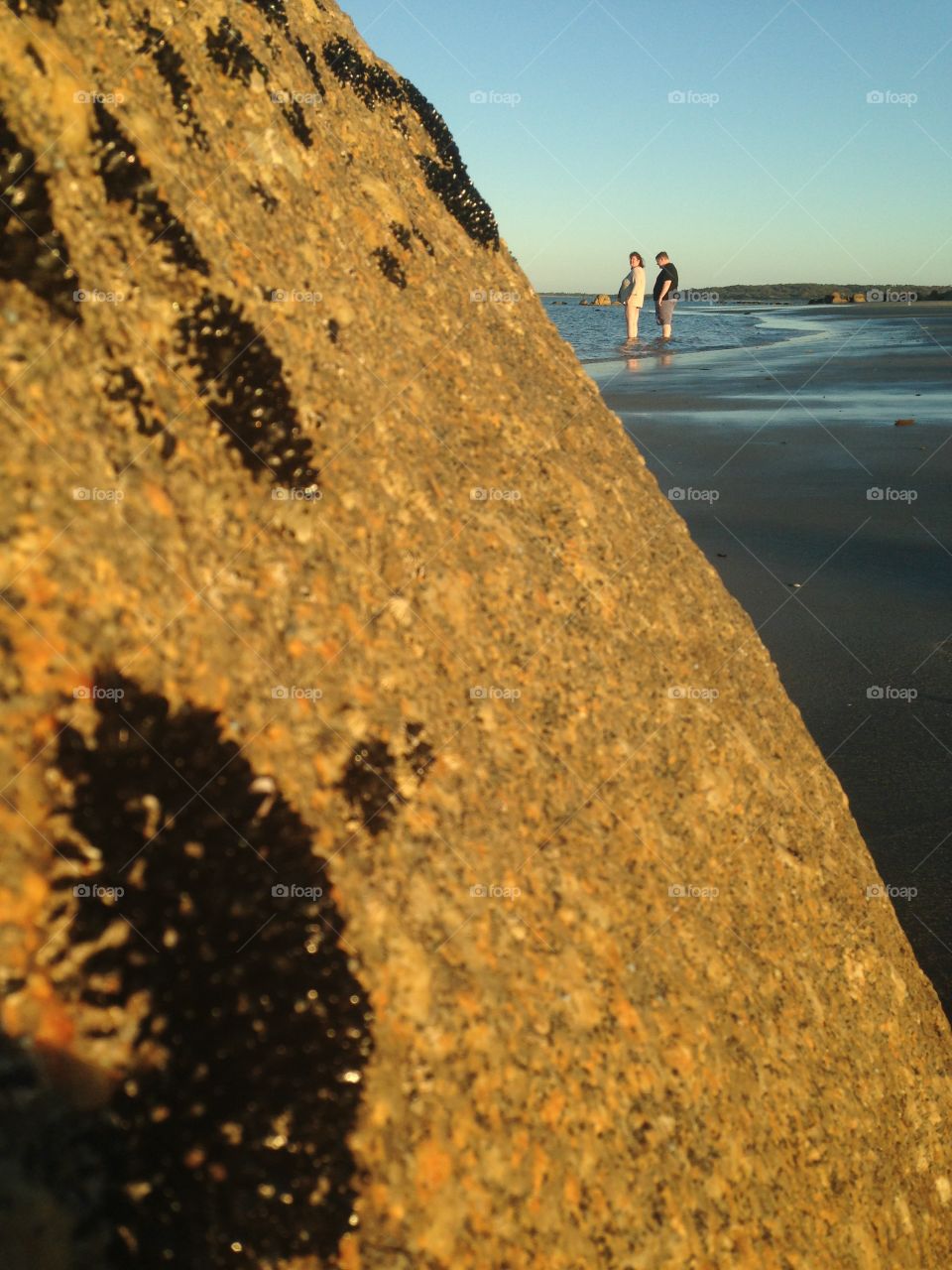 Large rock on beach in ocean sea water with crustaceans 