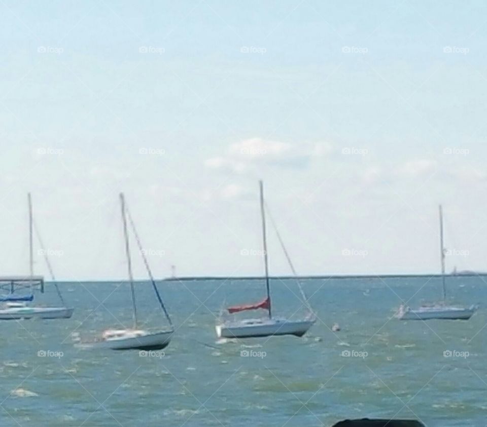Beautiful sail boats. I took this picture by the shore in Connecticut, a beautiful sunny windy day.