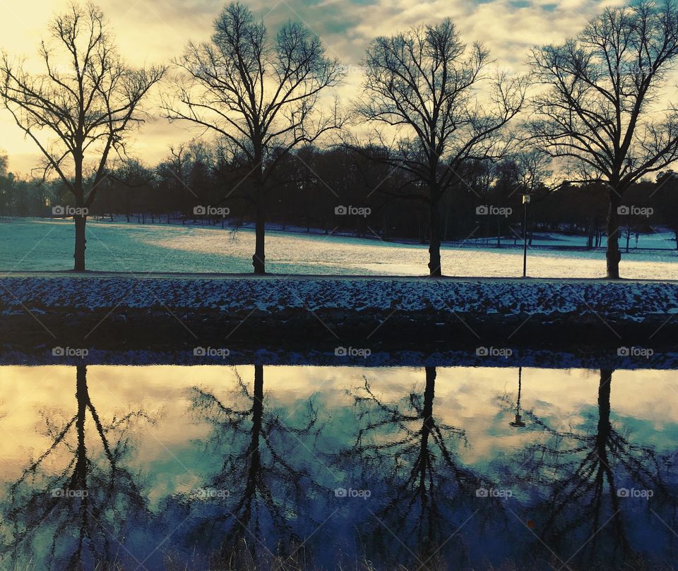 At the canal, trees mirroring in the water