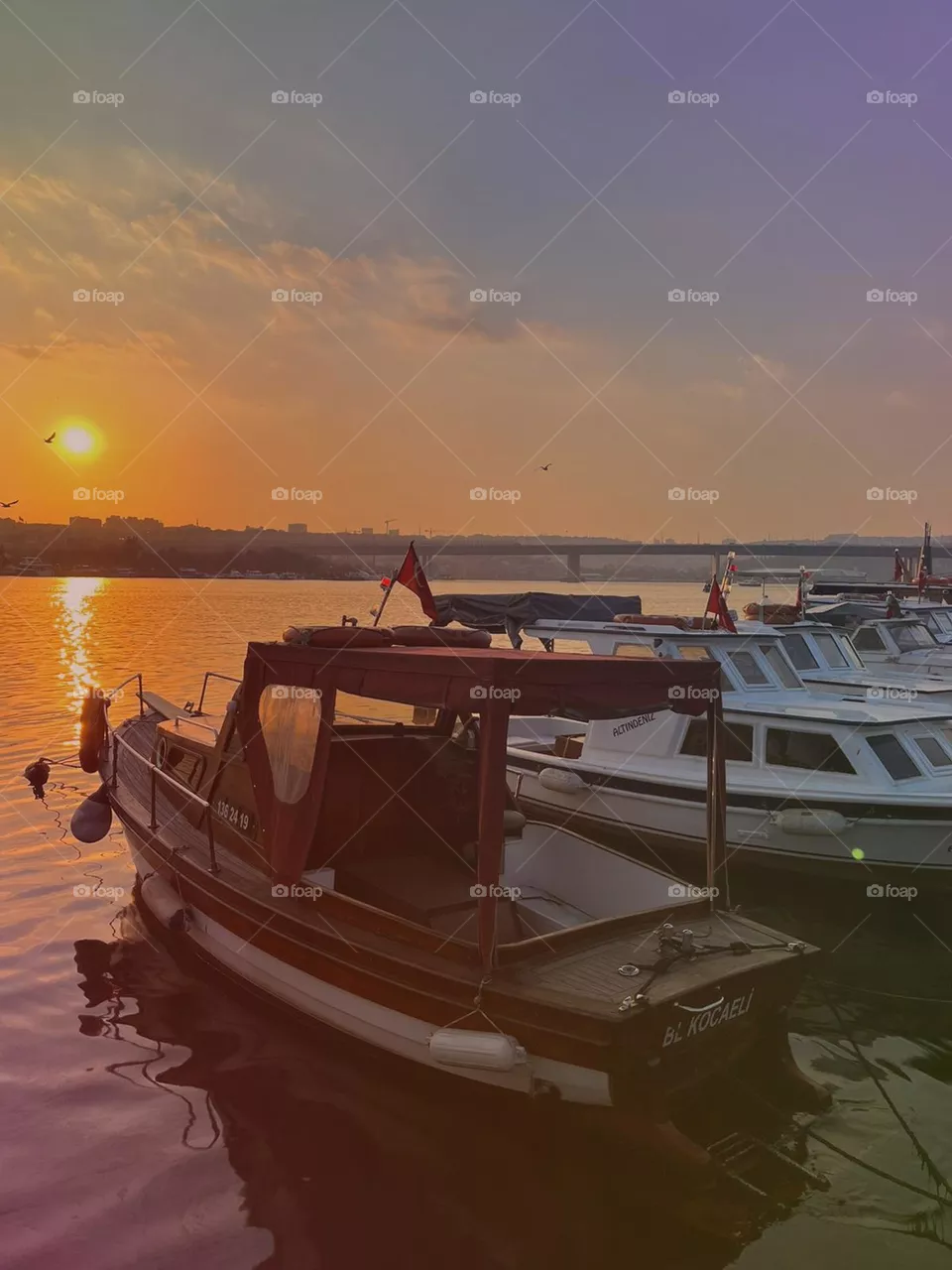 boat