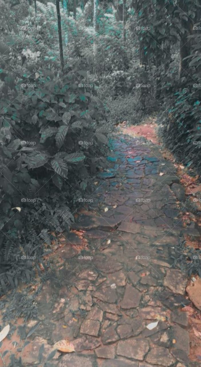 amazing view of one way path