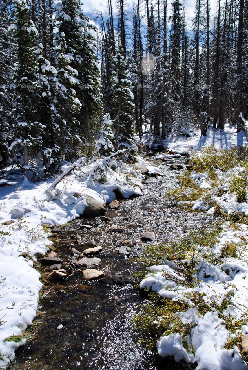 Signs of Snow Melt in the Snowy Range