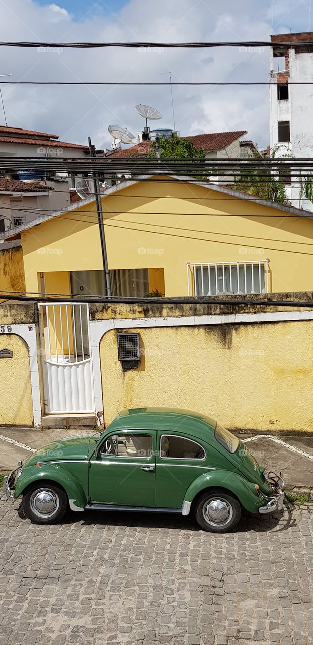 Fusca verde