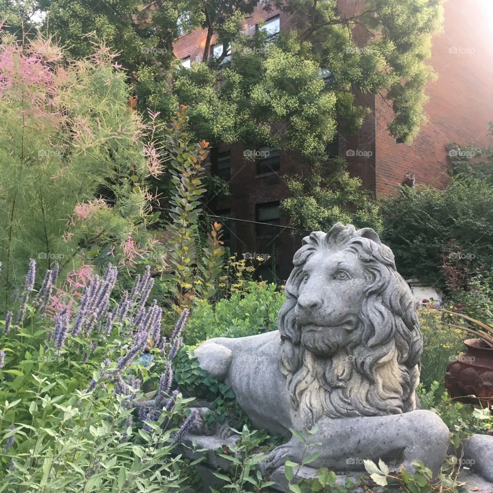 Lion, Elisabeth Garden, Manhattan, NY