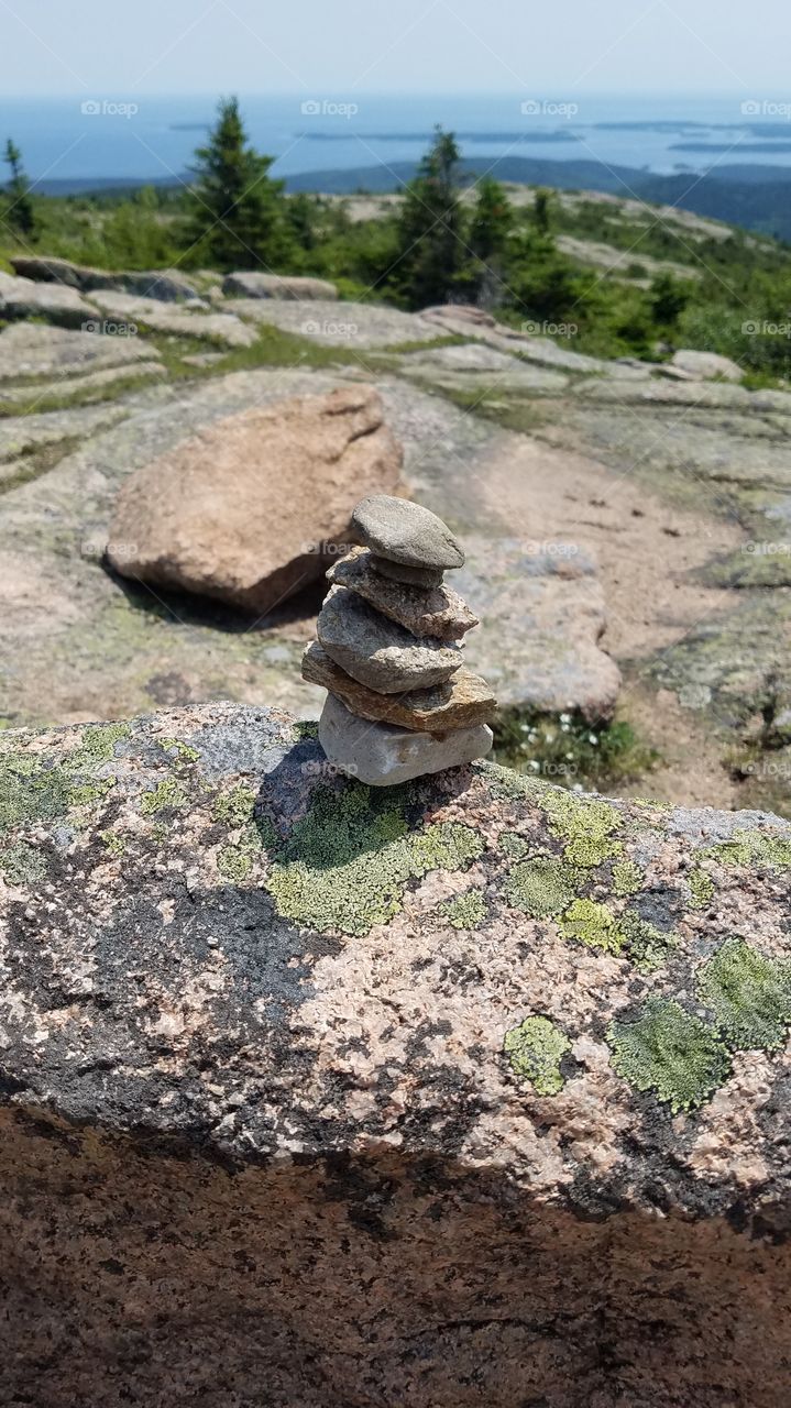Rock statue at Acadia