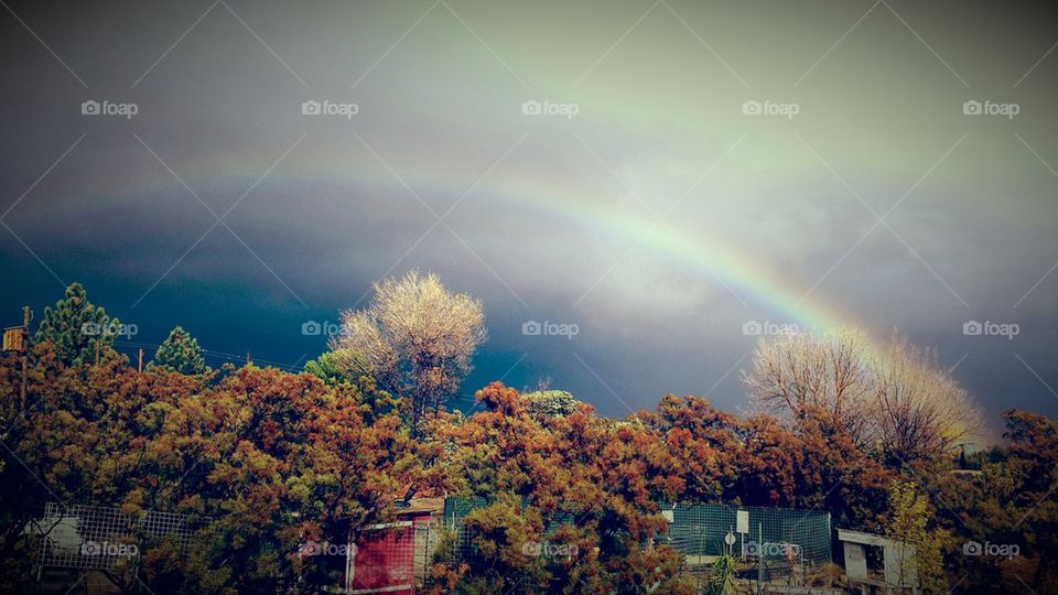 ranch rainbow