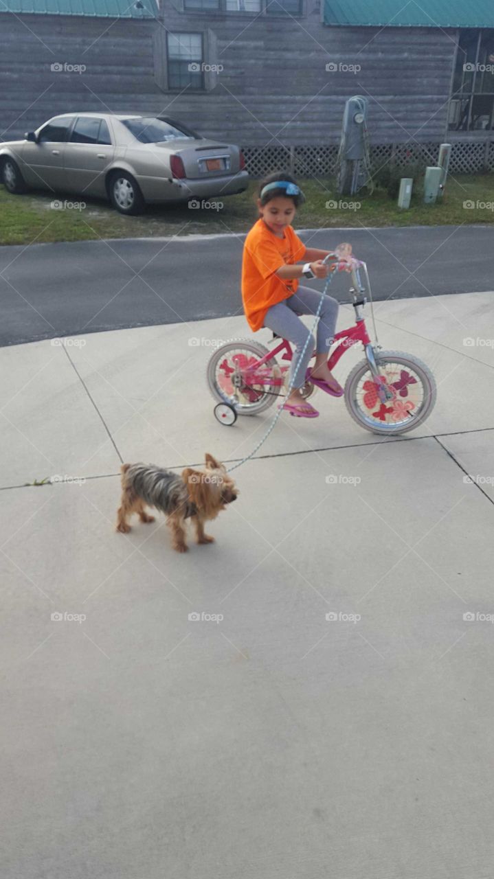 dog girl bicycle