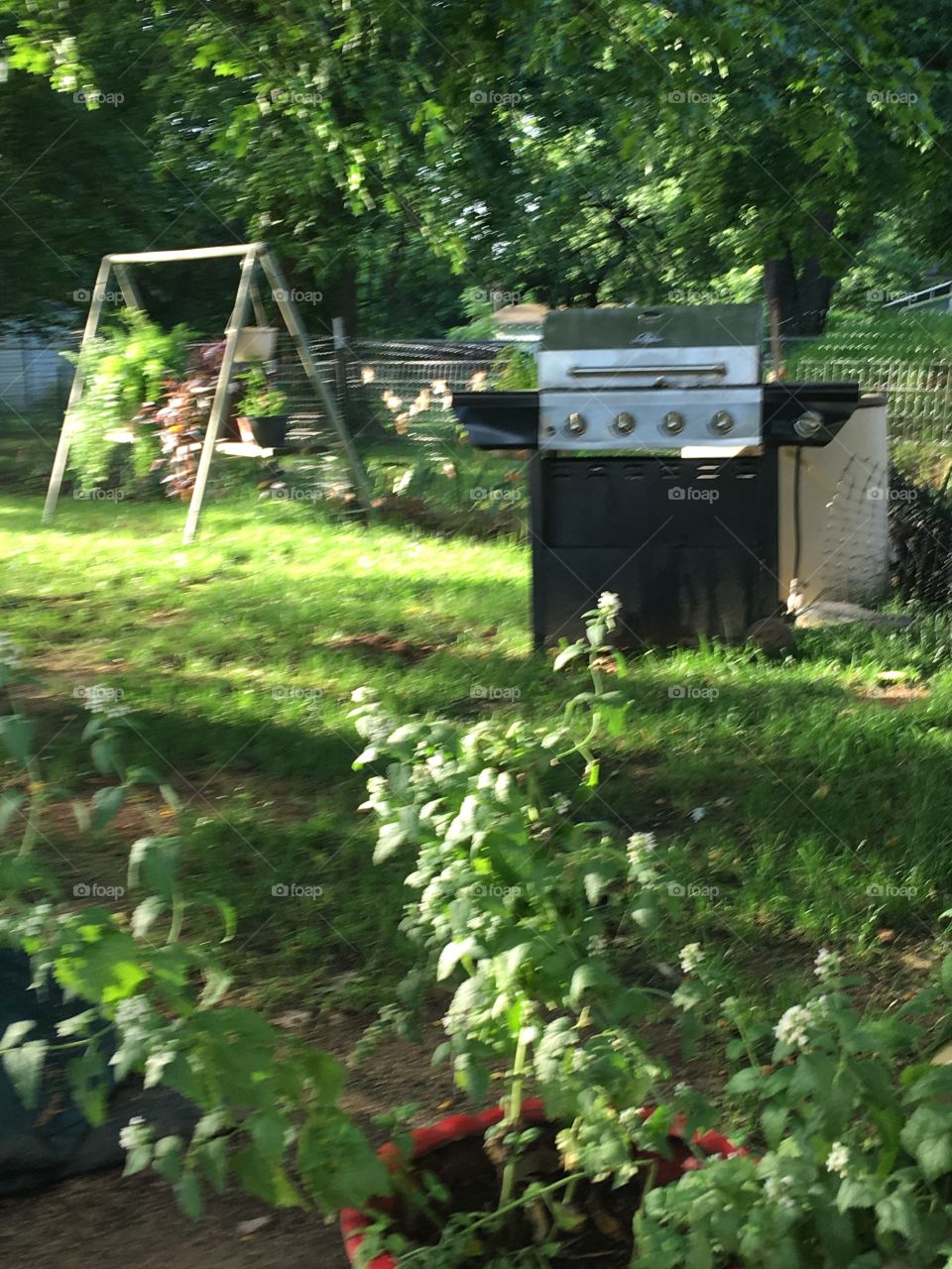 Yes it’s summer time let’s grill some burgers! Showing off the morning shadows. 