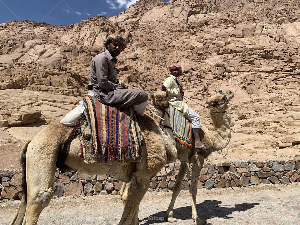 2 traditional People on camels in the desert 