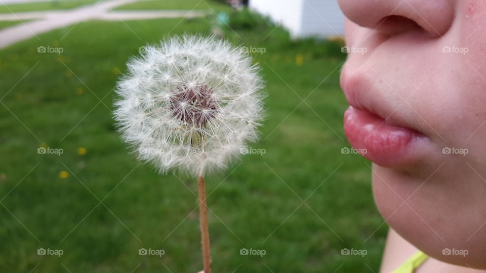 child making a wish. child making a wish