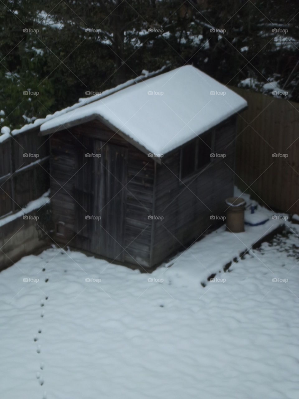 Snowy shed