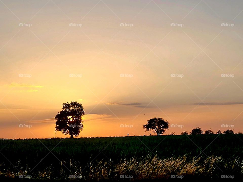 Sunset  🥰🥰🥰