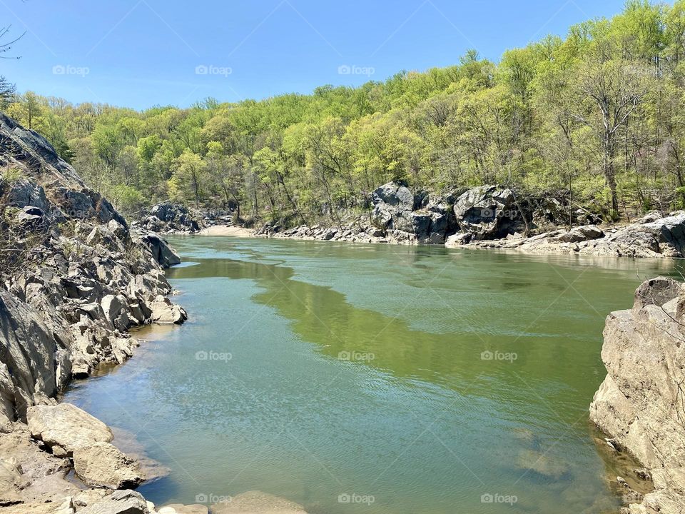 A river flowing past rocks and spring trees