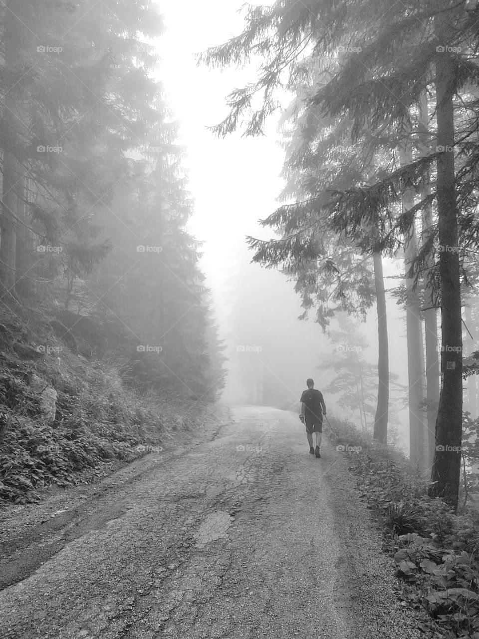 man walking in the forest during misty summer