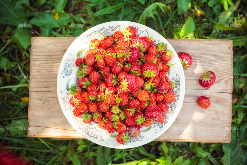 High angle view of strawberries on garden bench