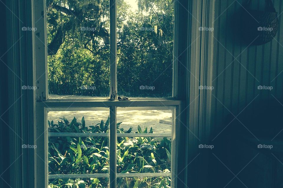 Lovely view from a unique vintage window.