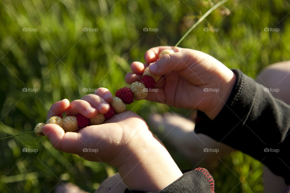 Close-up of person holding berry fruits