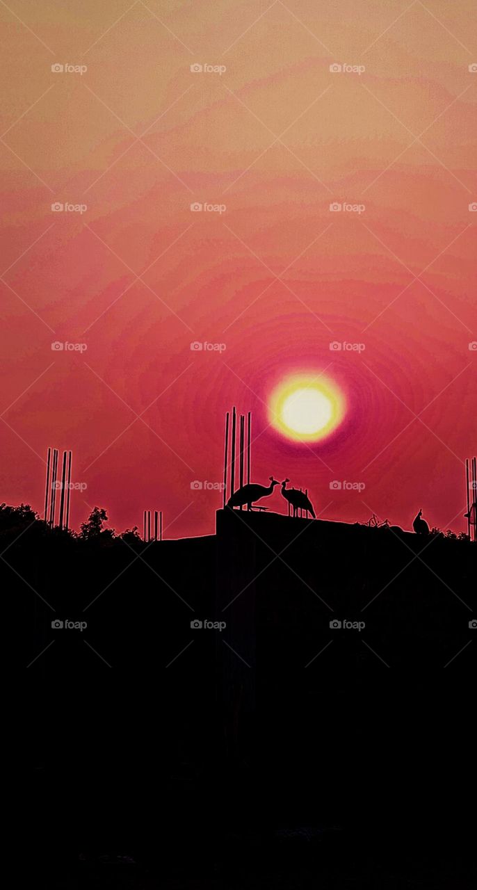 Best shot of the week