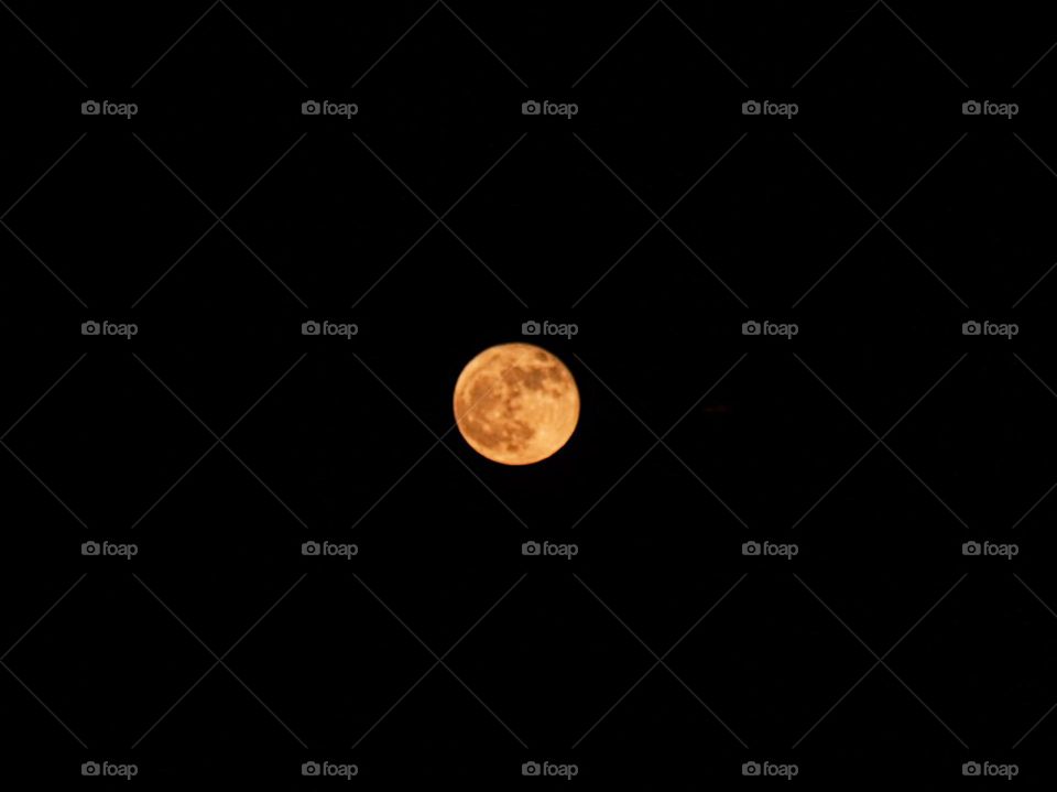 A yellow moon rises on a clear evening with the perfect combination of atmospheric dust and reflected sunlight