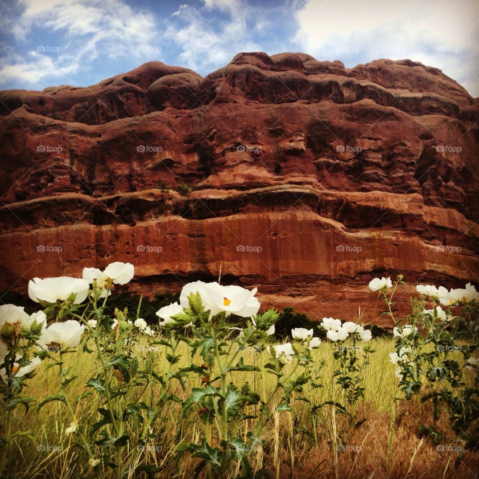 Red Rocks trail in summer 