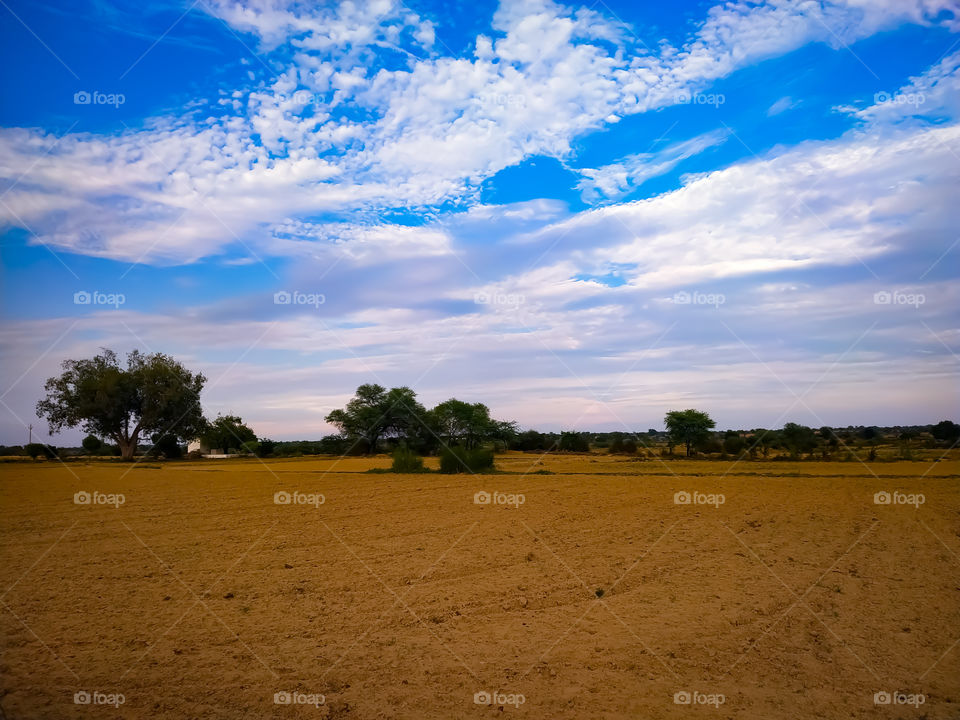 Beautiful empty field with trees on backdrop blue sky