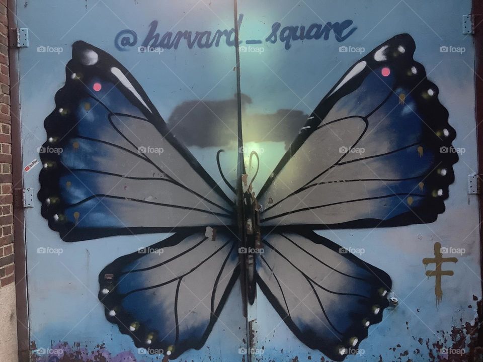 This I found walking through Harvard Square still in a daze over finding myself taking incredible shots 5 ft. away from Princess Kate. I had no idea she would be there on my way to an appointment. Serendipity lives.